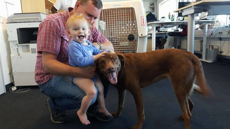 A man is kneeling down with a baby and a dog.