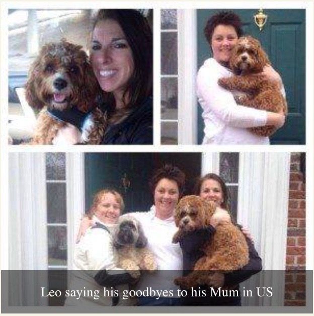 A collage of photos with the caption 