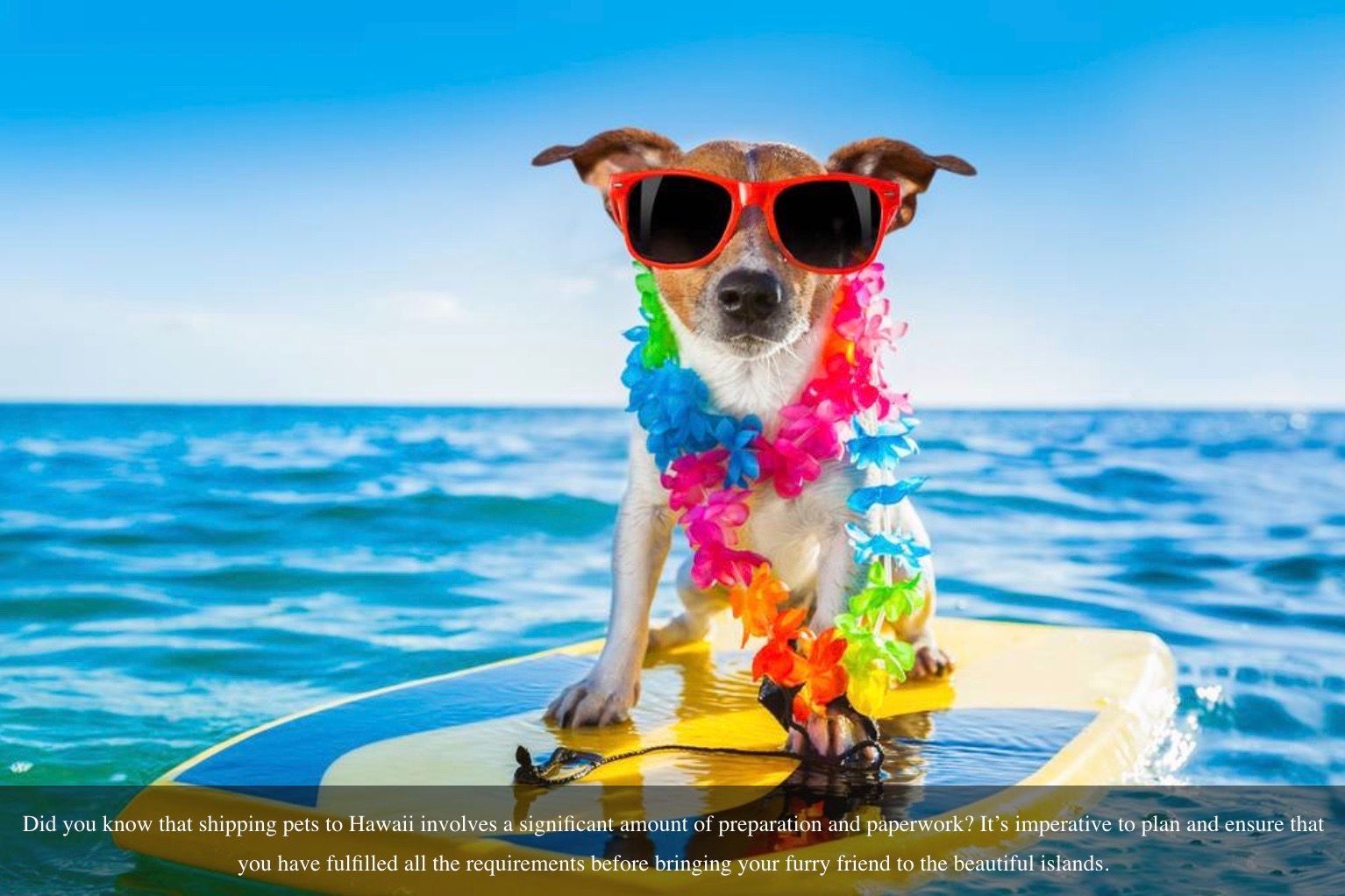 A dog wearing sunglasses and a lei is sitting on a surfboard in the ocean.