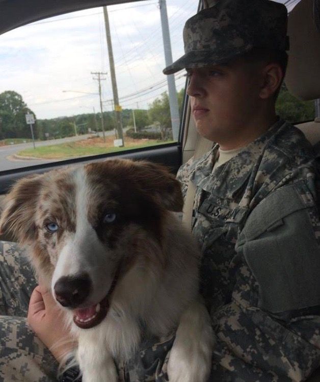 A man in a military uniform is holding a brown and white dog