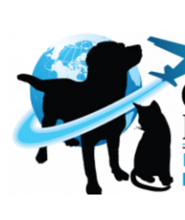 A silhouette of a dog and a cat with an airplane in the background A silhouette of a dog and a cat with an airplane in the background