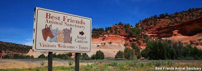 A sign that says best friends animal sanctuary on it