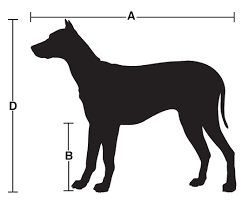 A silhouette of a dog with measurements on a white background.
