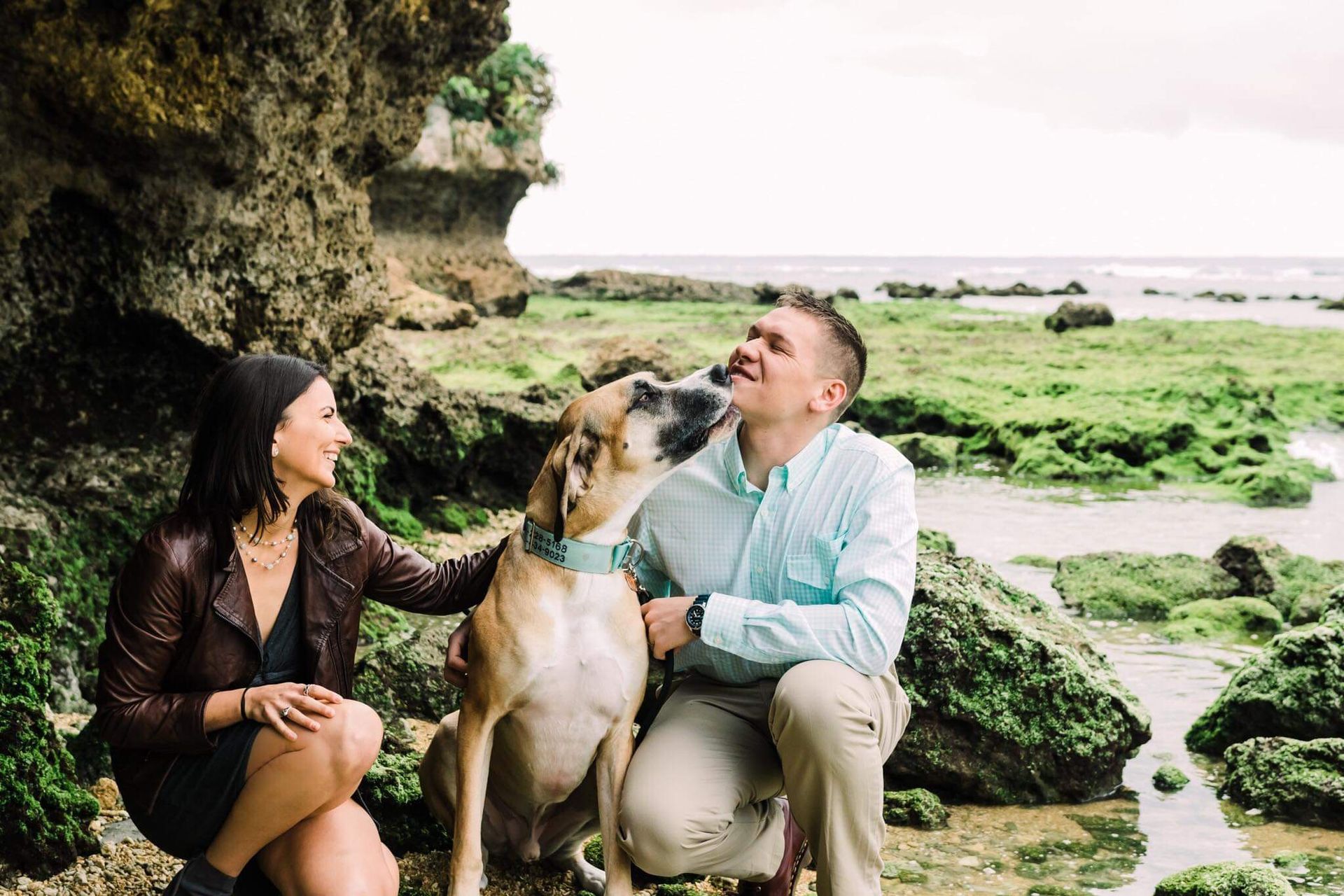 A man and a woman are petting a dog on the beach.