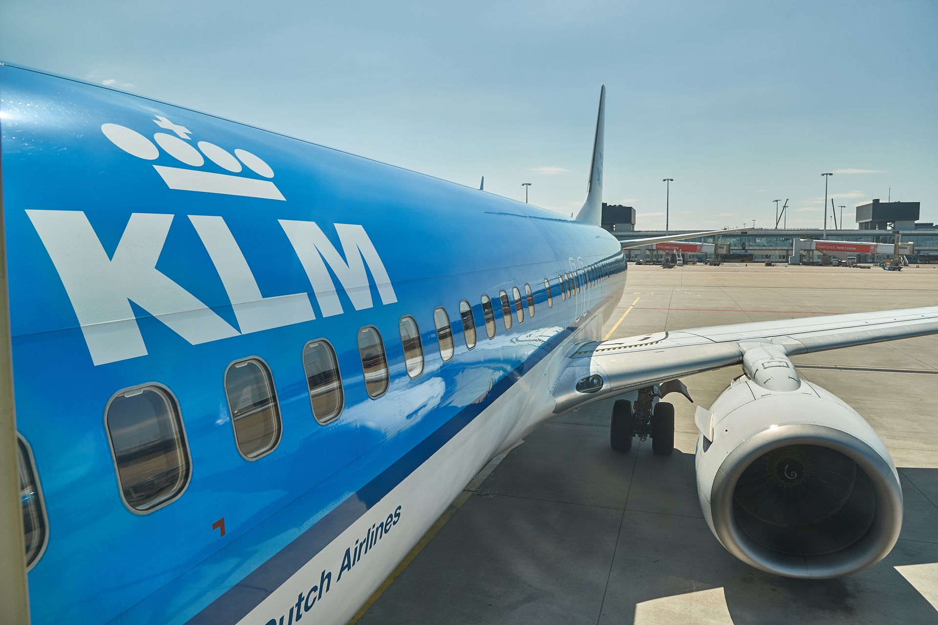 pet shipping airline near me pet shipping airline near me