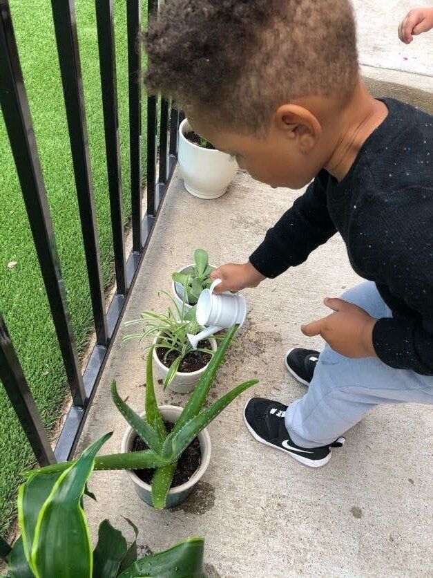 Toddler Program