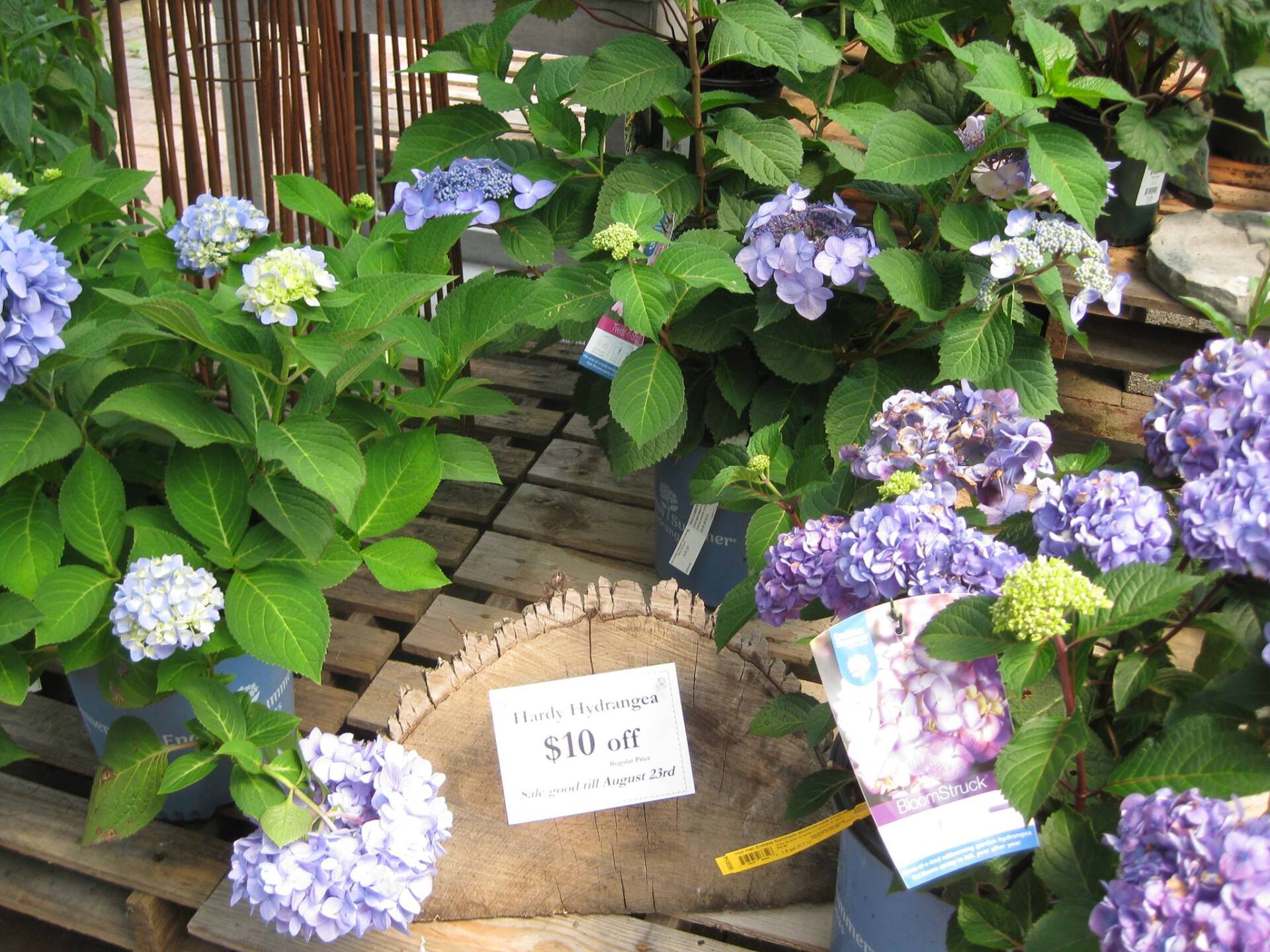 Nursery Pottsville, PA Trail Gardens