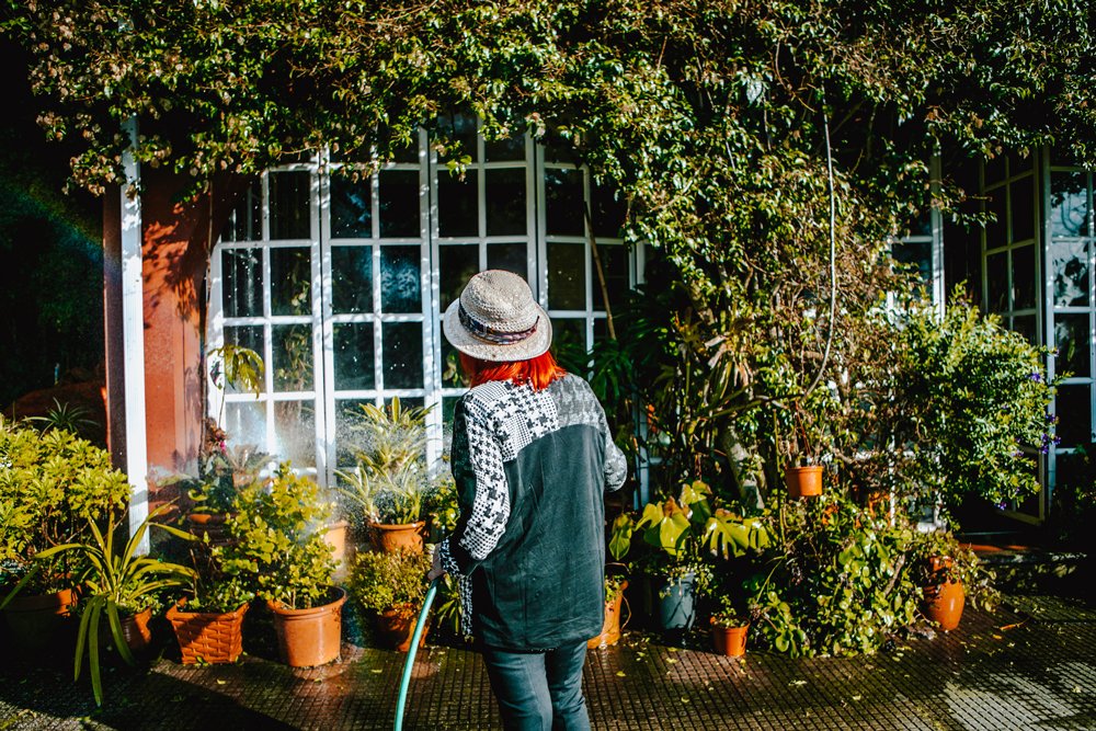 Gardening Products Pottsville, PA Trail Gardens