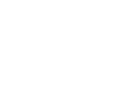 Black and white turkey with fanned tail feathers, over a house outline.