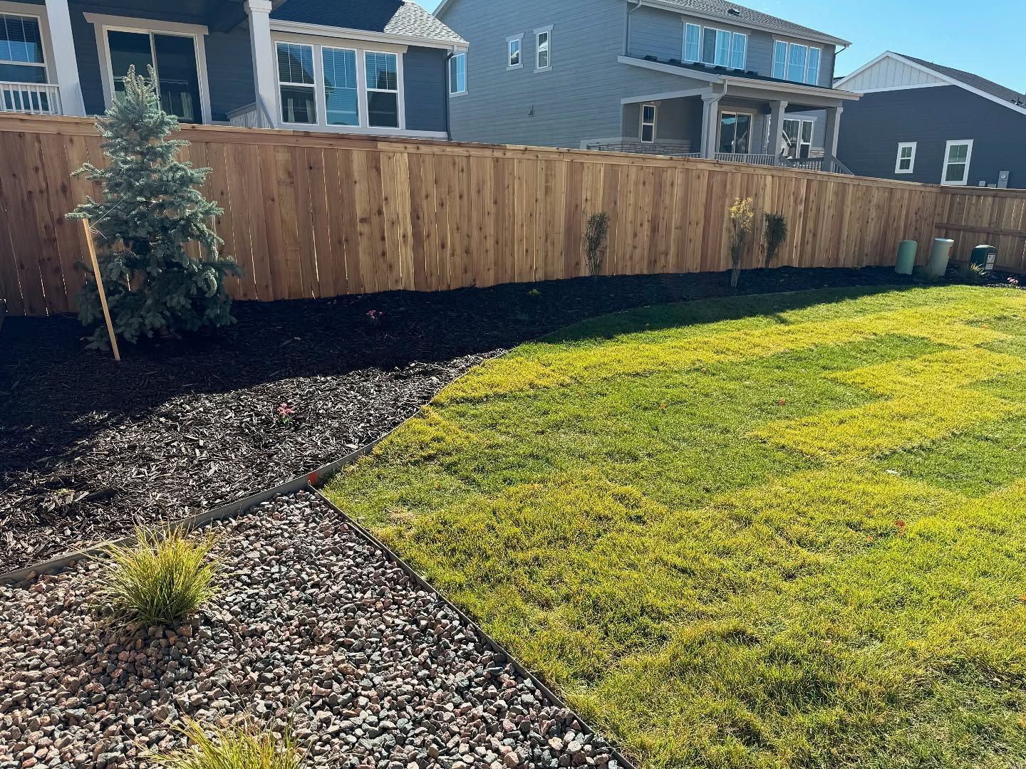 A backyard with a wooden fence, a section of grass, and a rock bed with small bushes on a sunny day.
