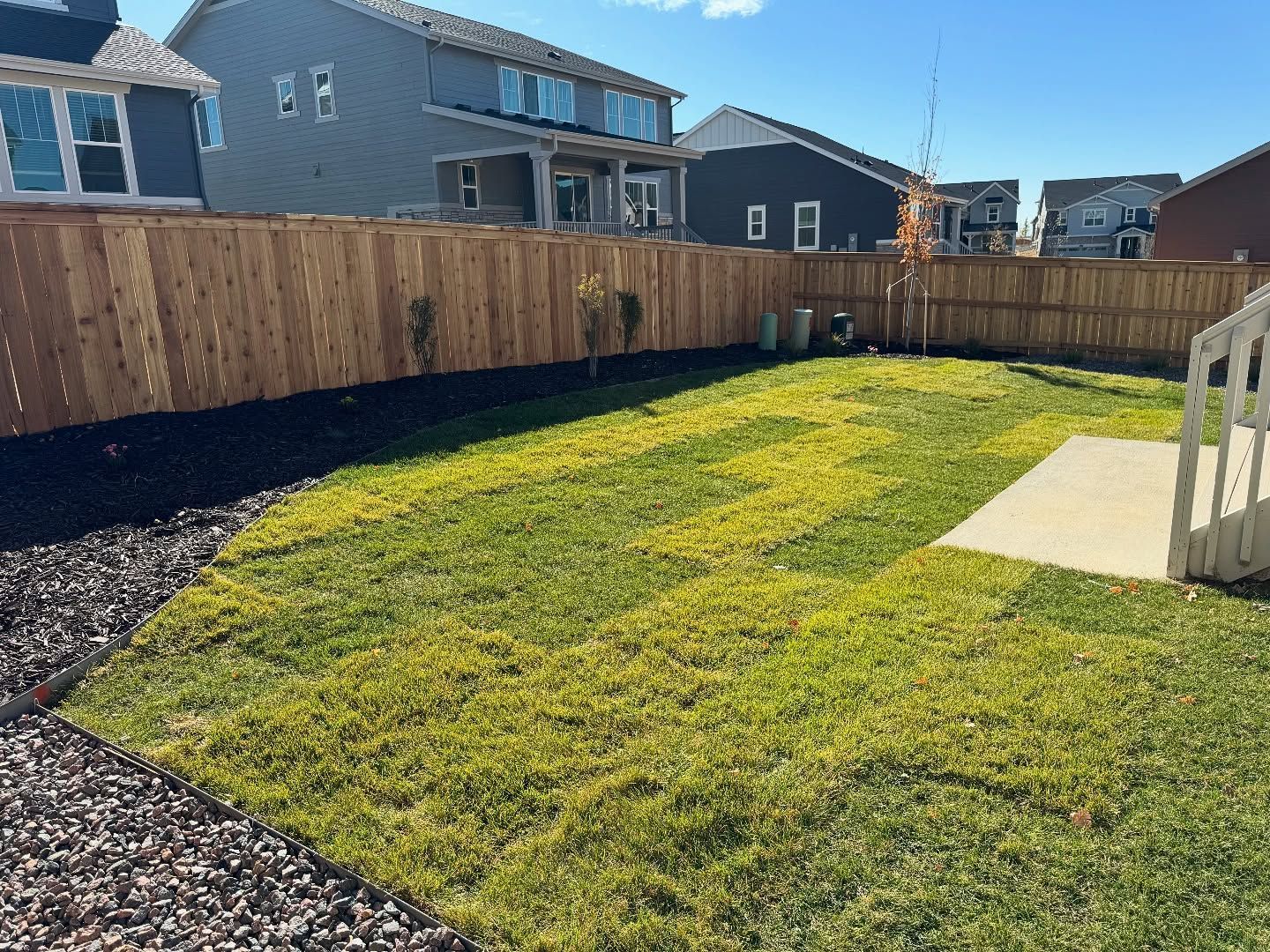 A patch of green grass with yellowing areas next to a concrete patio and a wooden fence in a suburban backyard.