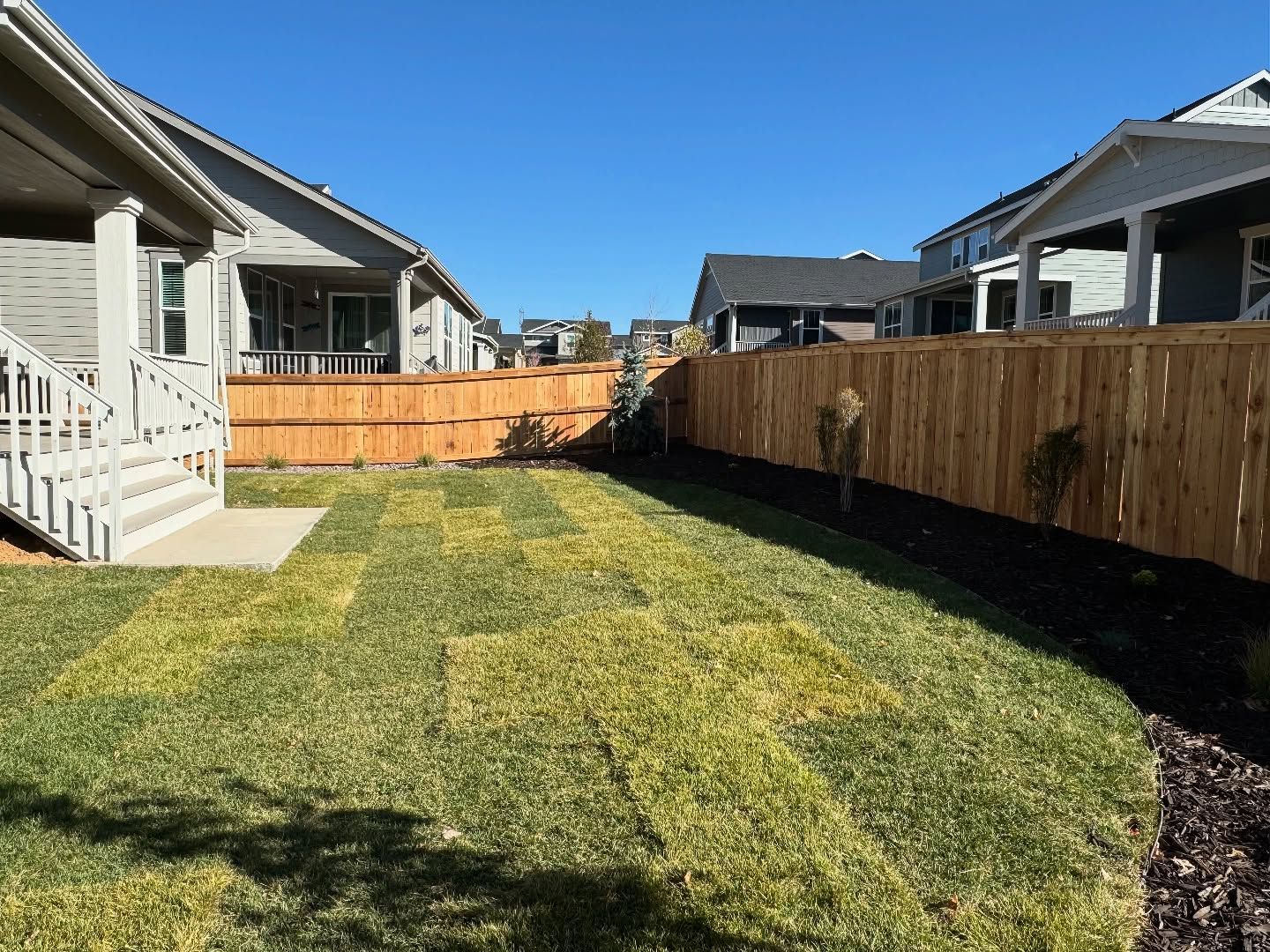 A backyard lawn featuring freshly laid patches of turf in a sunny residential area with a wooden fence.