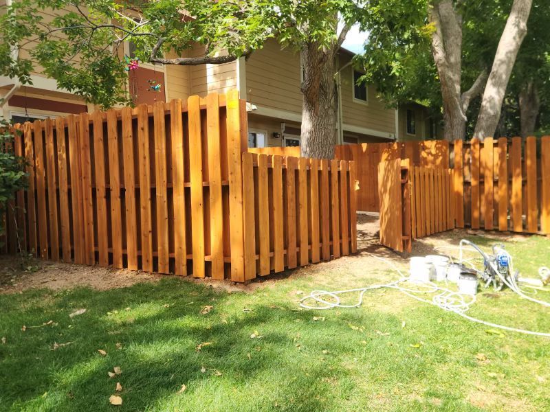 A freshly stained wooden picket fence stands in a backyard with green grass and trees, with painting equipment nearby.