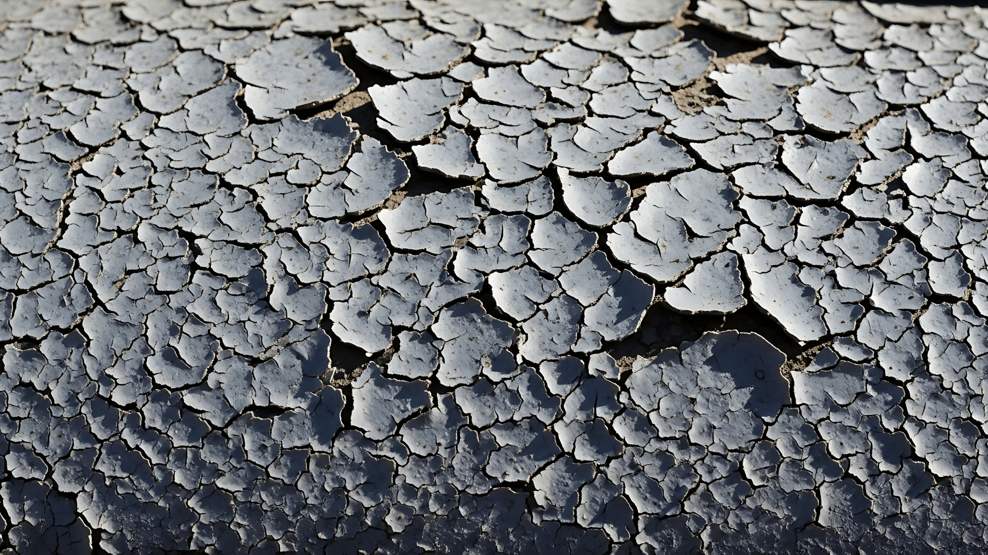 Aging flat roof membrane showing signs it may need repair or replacement in Newtown CT