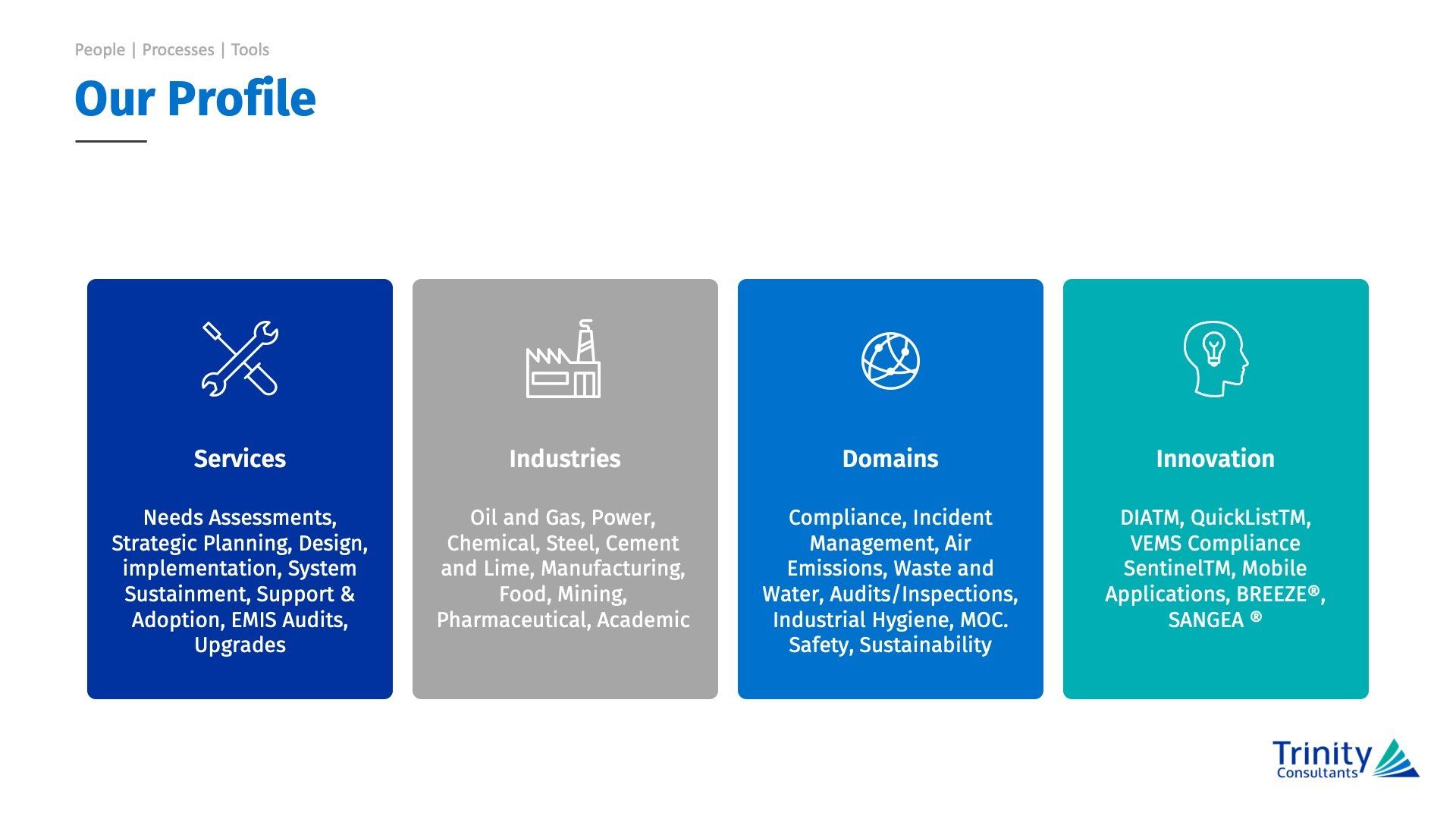 Trinity Insight corporate profile slide listing four sections: Services, Industries, Domains, and Capabilities.