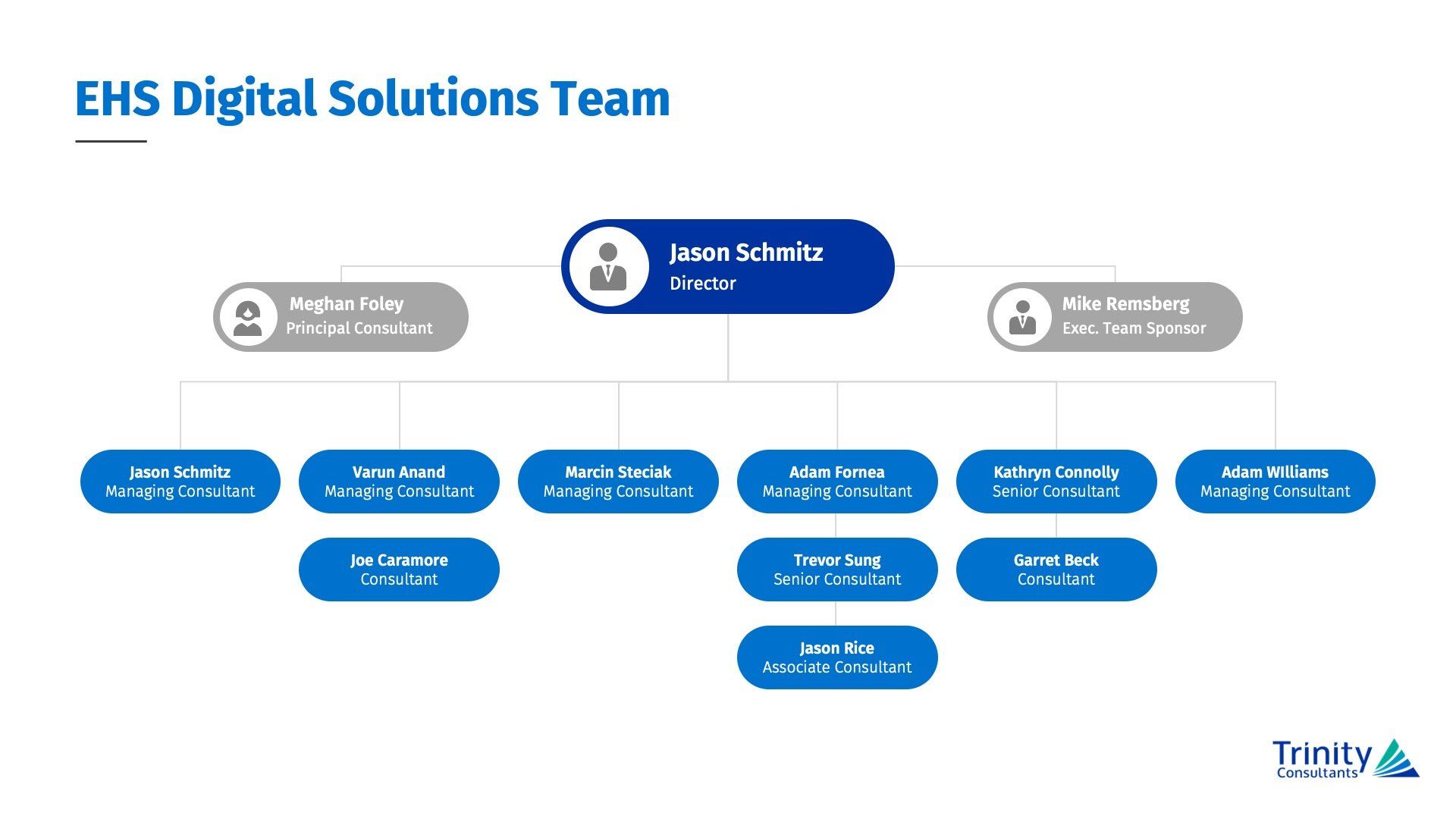 Organizational chart for Trinity Consultants’ EHS Digital Solutions Team, led by Director Jason Schultz.