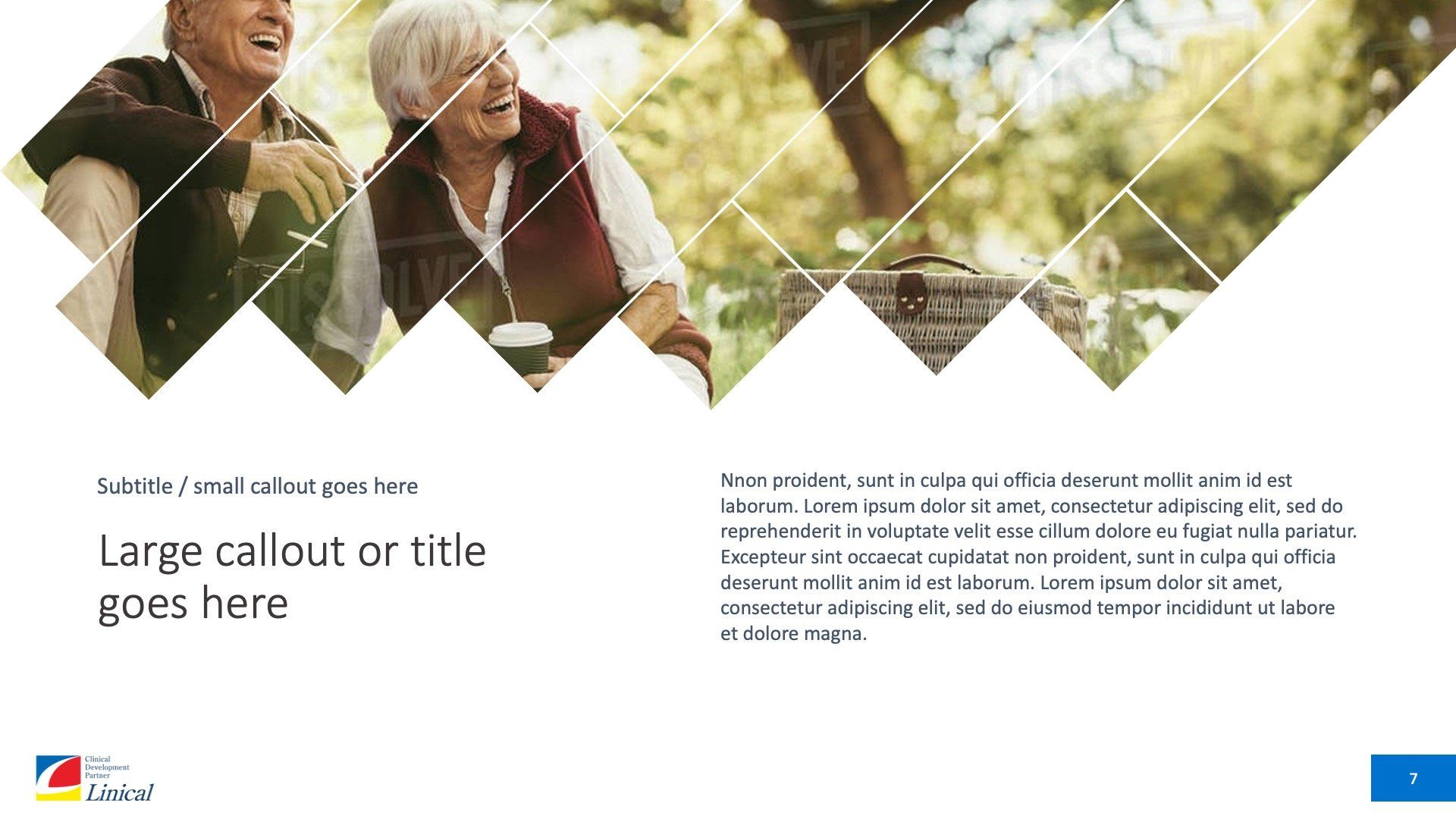 Two smiling people sitting outdoors with a picnic basket under a geometric graphic overlay.