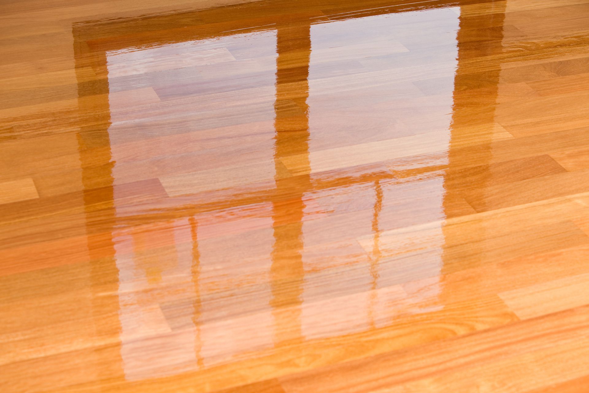Wood Floor Cleaning
