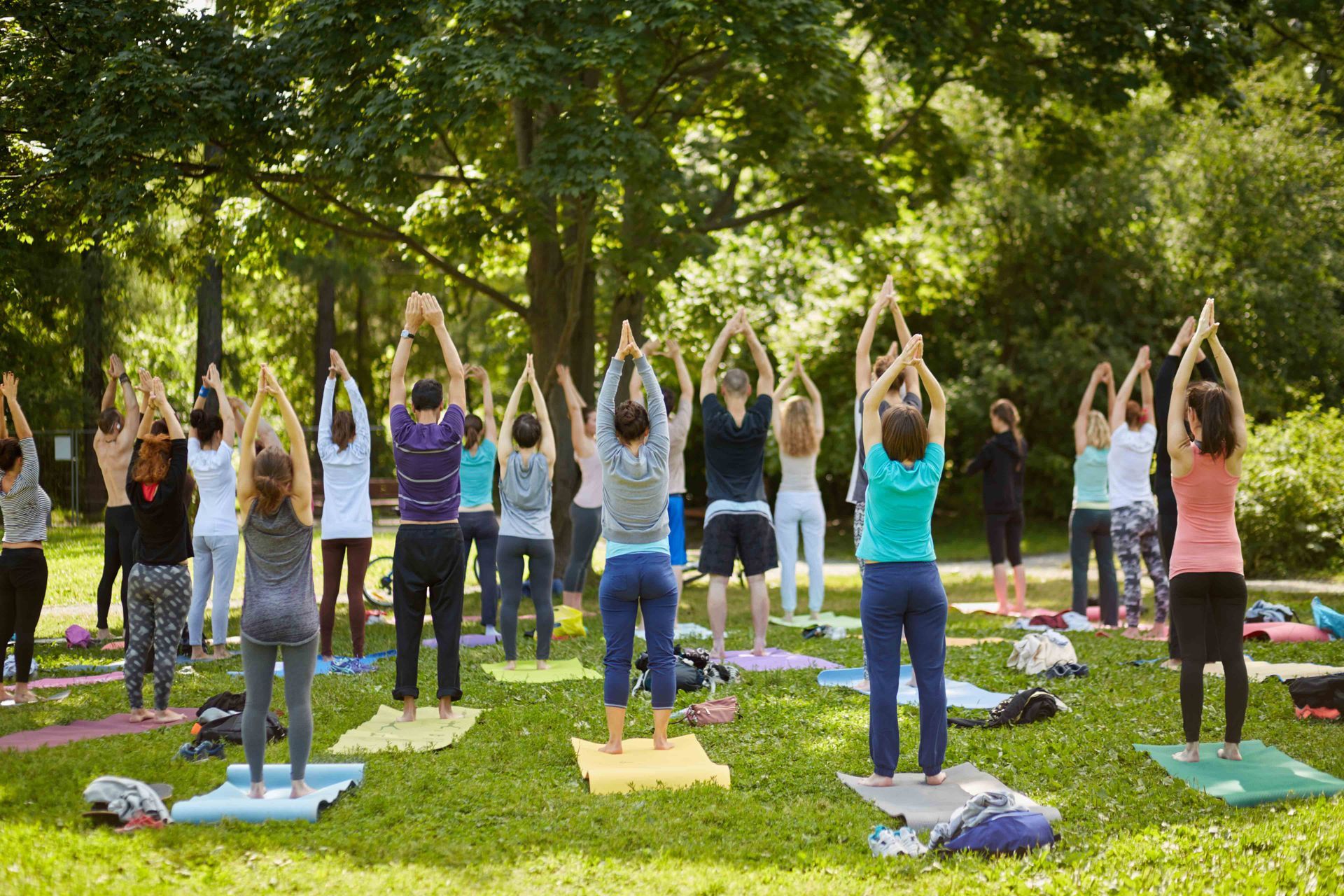 People doing yoga poses outdoors on mats in a grassy park under trees