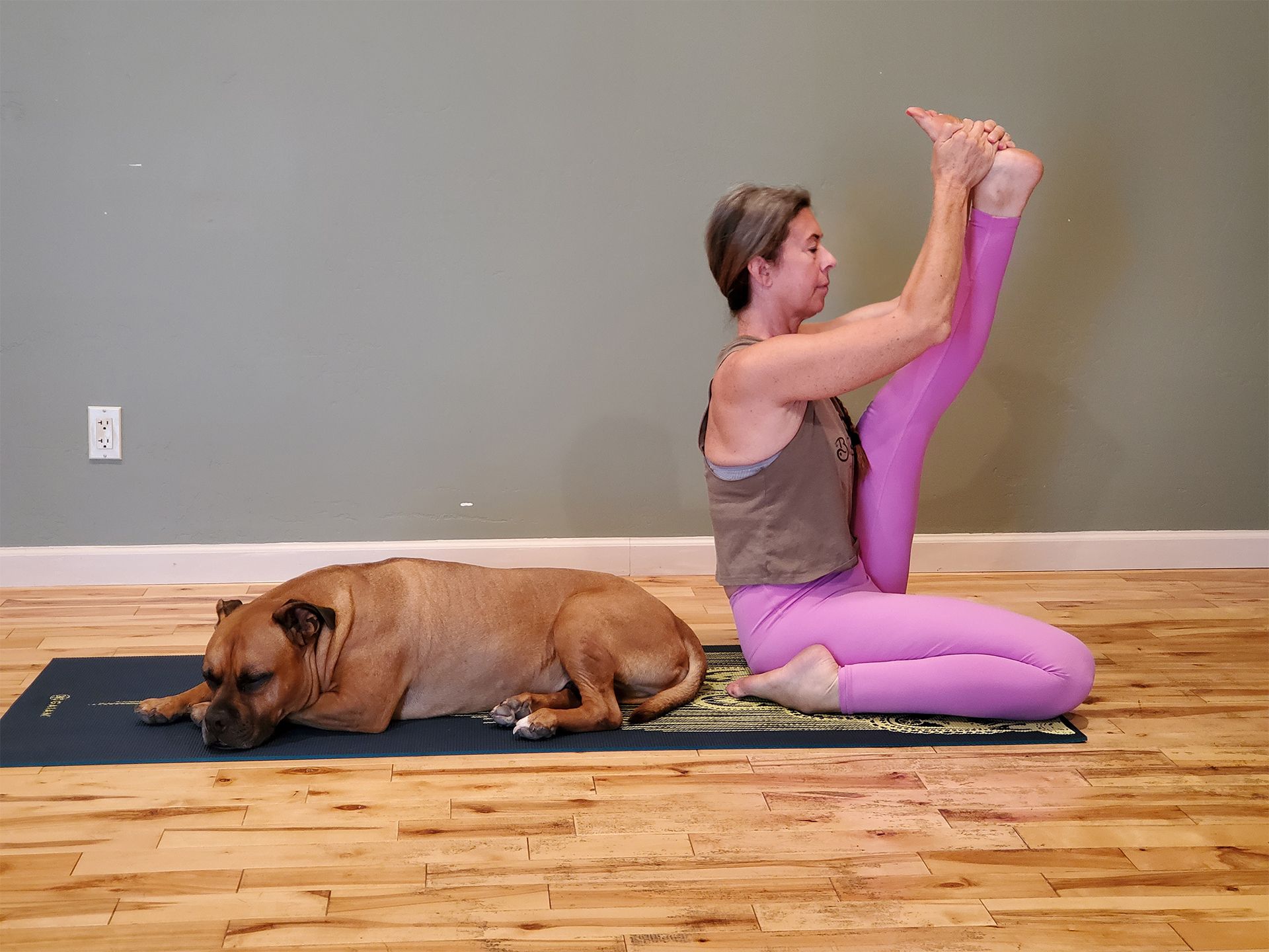 Woman doing seated yoga stretch beside a resting dog on a mat in a wood-floored room