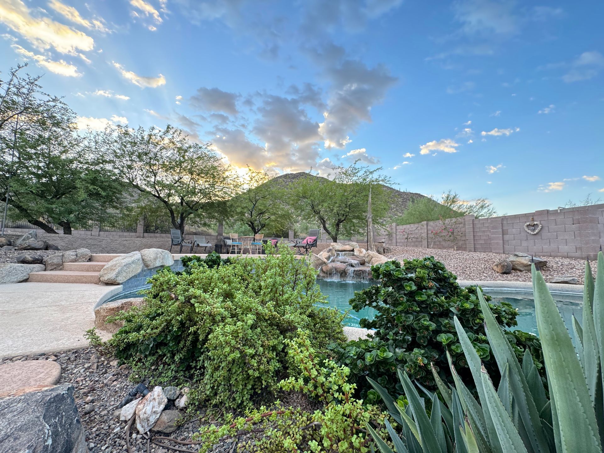 A swimming pool surrounded by plants and rocks with a mountain in the background.