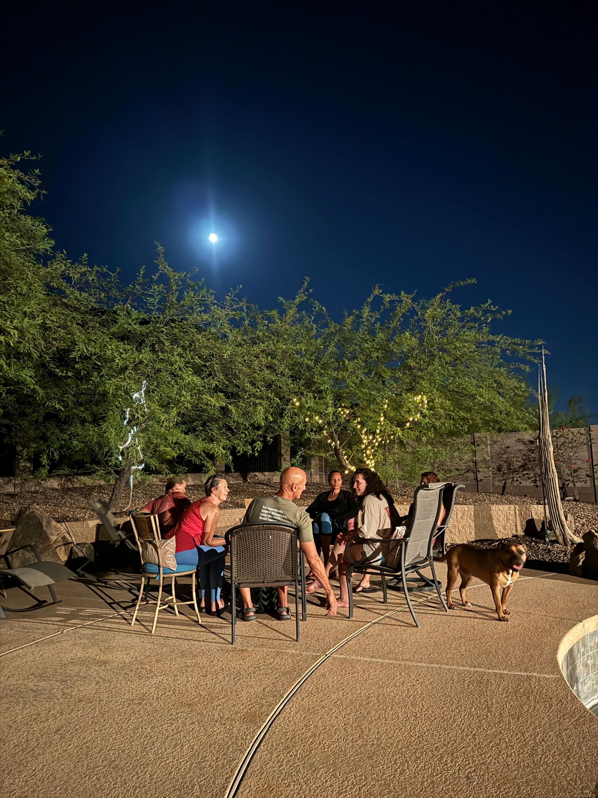 A group of people are sitting around a fire pit at night.