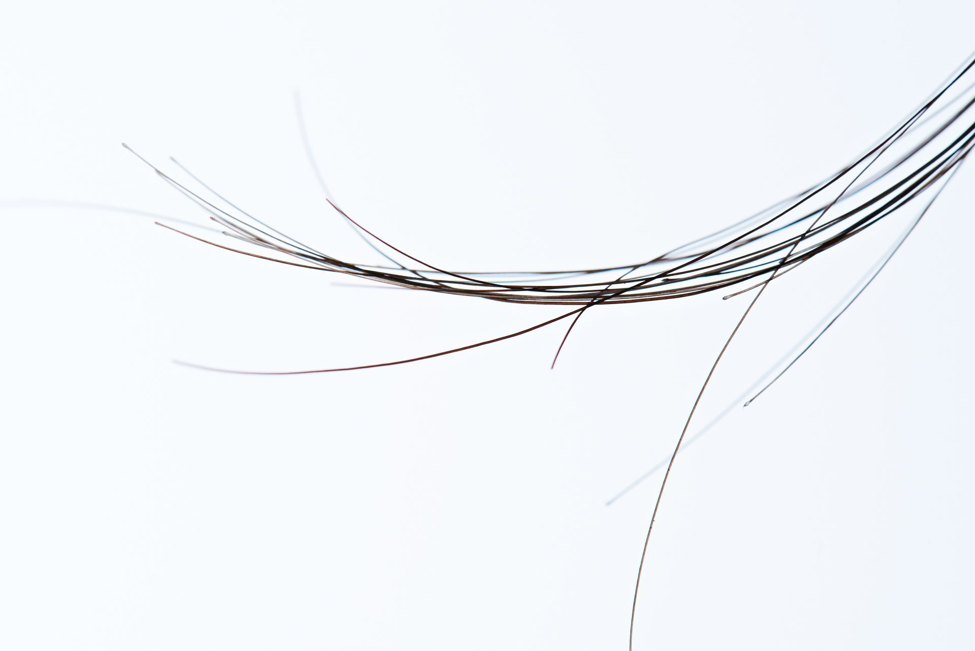 Hair Strands