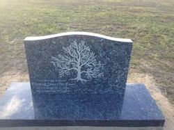 Dark granite headstone with a tree engraving, set in a grassy field — Mackay Monumental Masons In Glenella, QLD