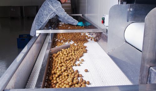 monitoraggio infestanti HACCP