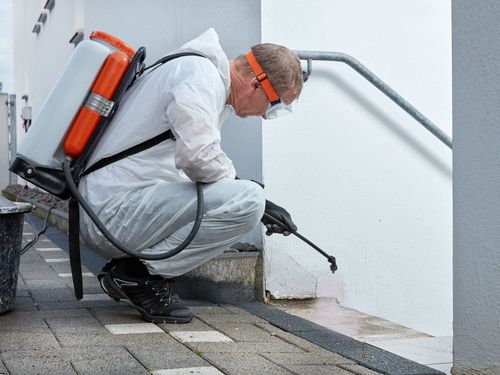 Un tecnico della disinfestazione, con indosso indumenti protettivi, spruzza un pesticida liquido contro la parete bianca di un edificio.