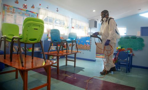 disinfestazione da insetti volanti