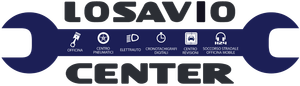 LOSAVIO CENTER logo