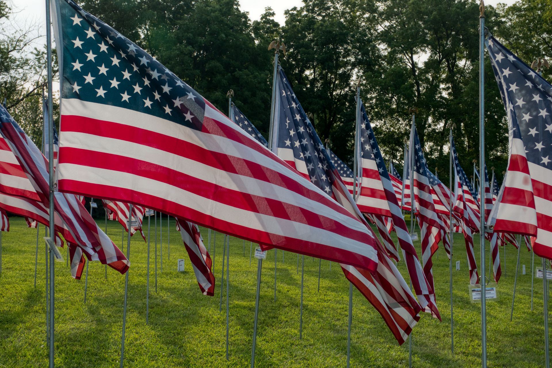 A close-up view of an American flag waving in the wind against a soft, blurred background.