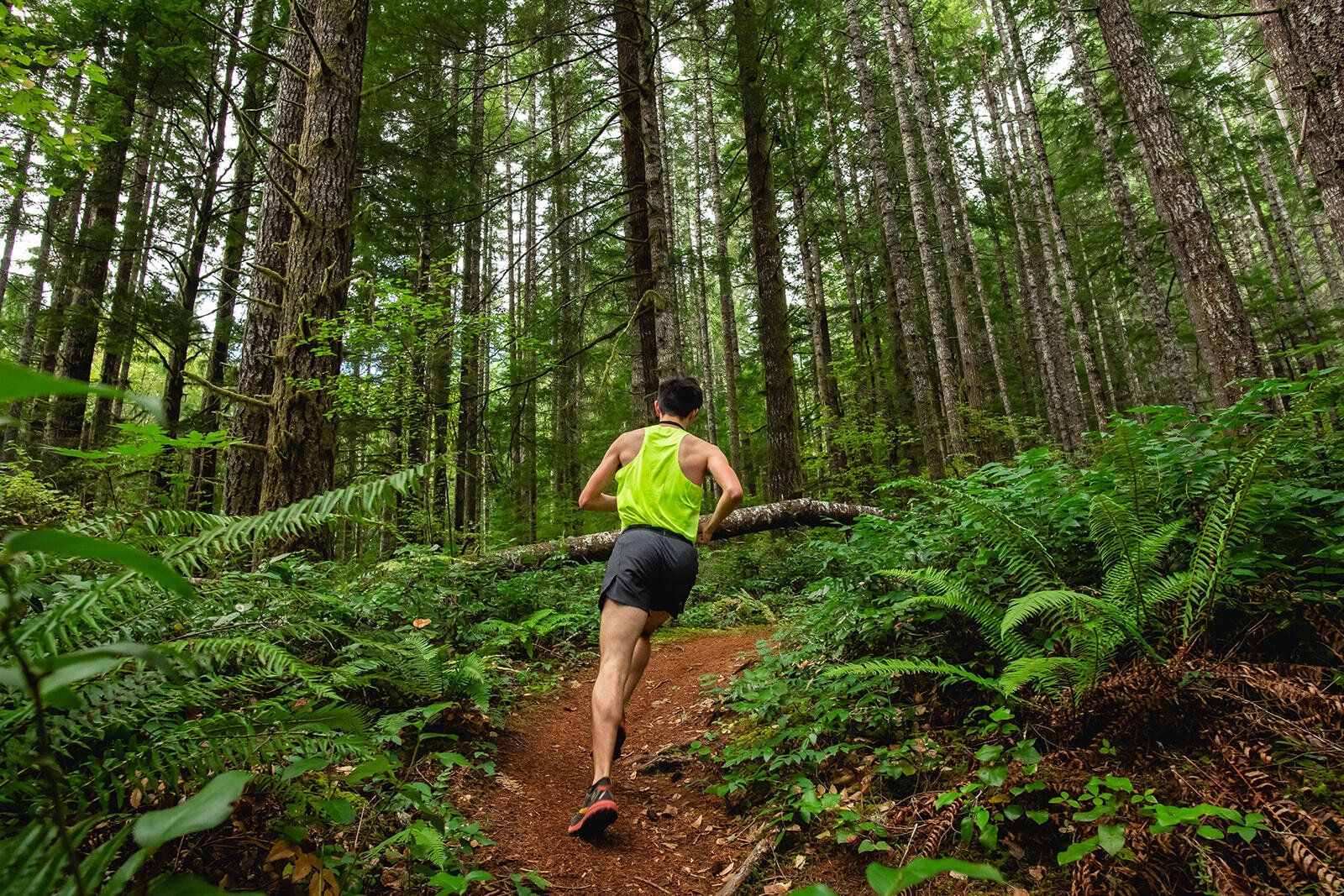 A person is running on a trail in the woods.