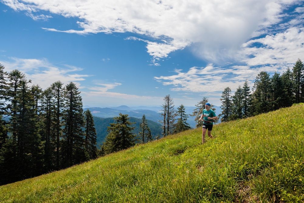 A person is walking up a grassy hill in the mountains.