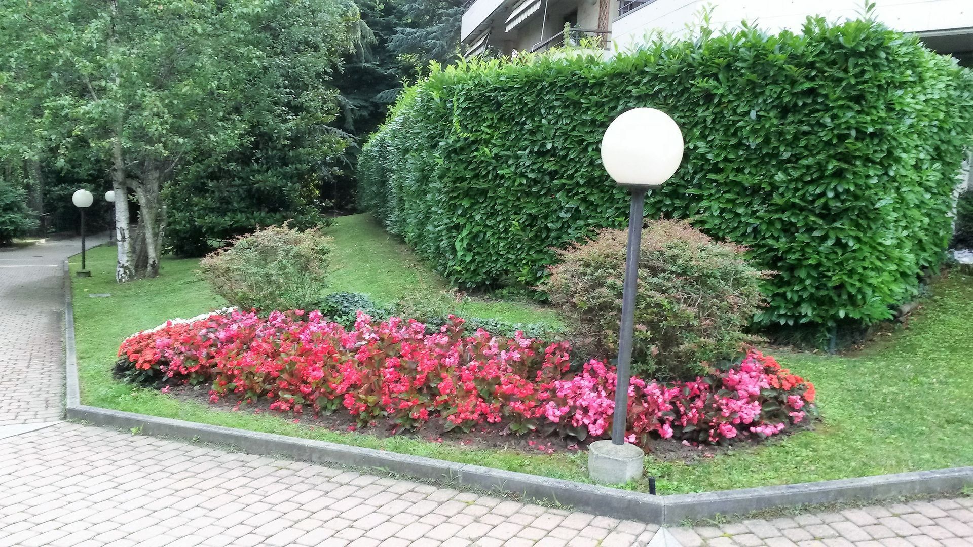 fiori e siepi