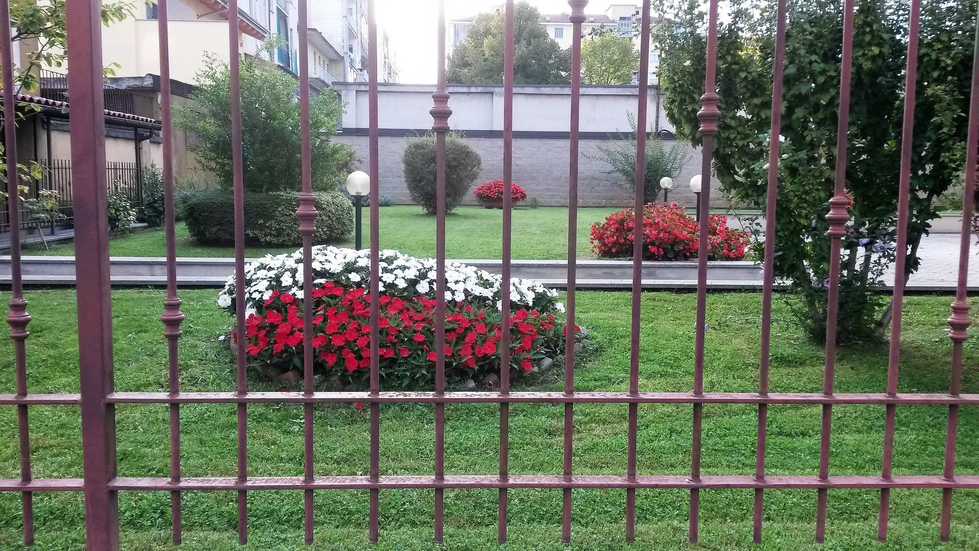 fiori