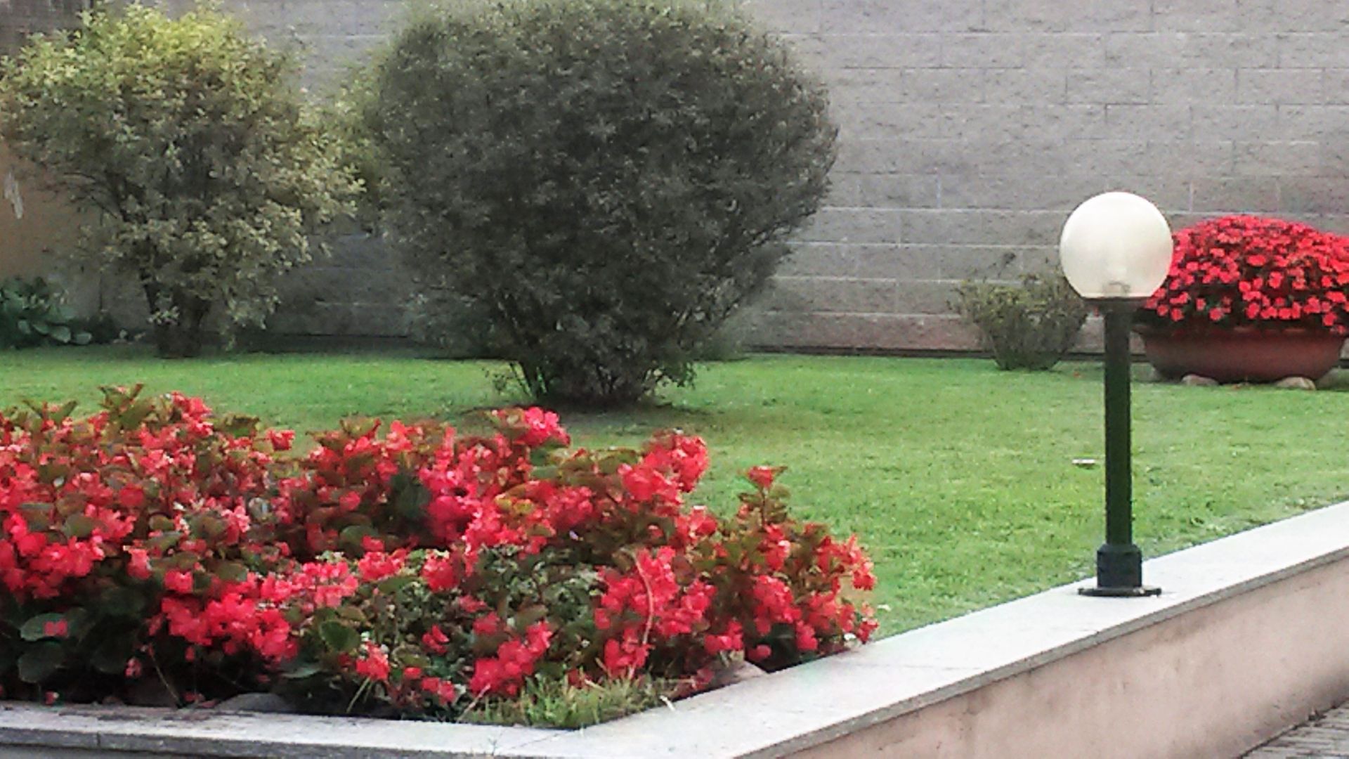 manutenzione giardini
