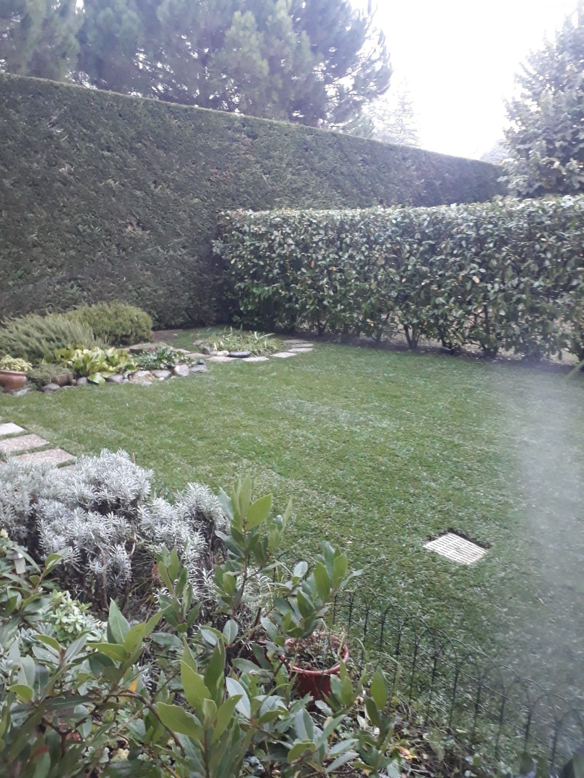 manutenzione giardino