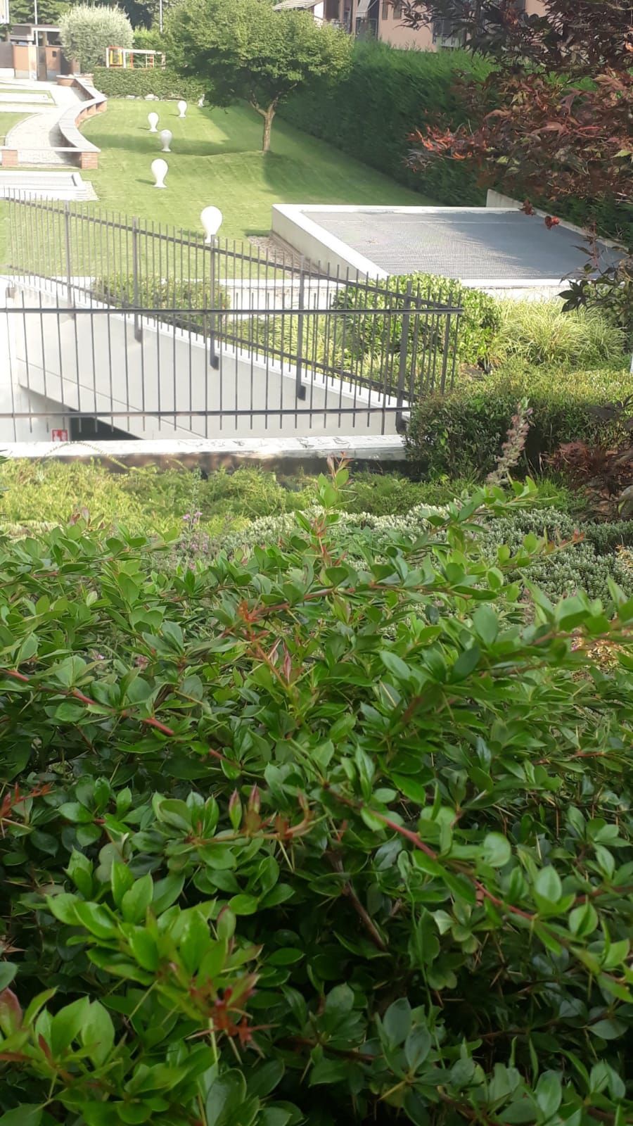 giardino confominiale