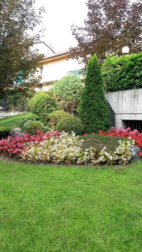 creazione giardini