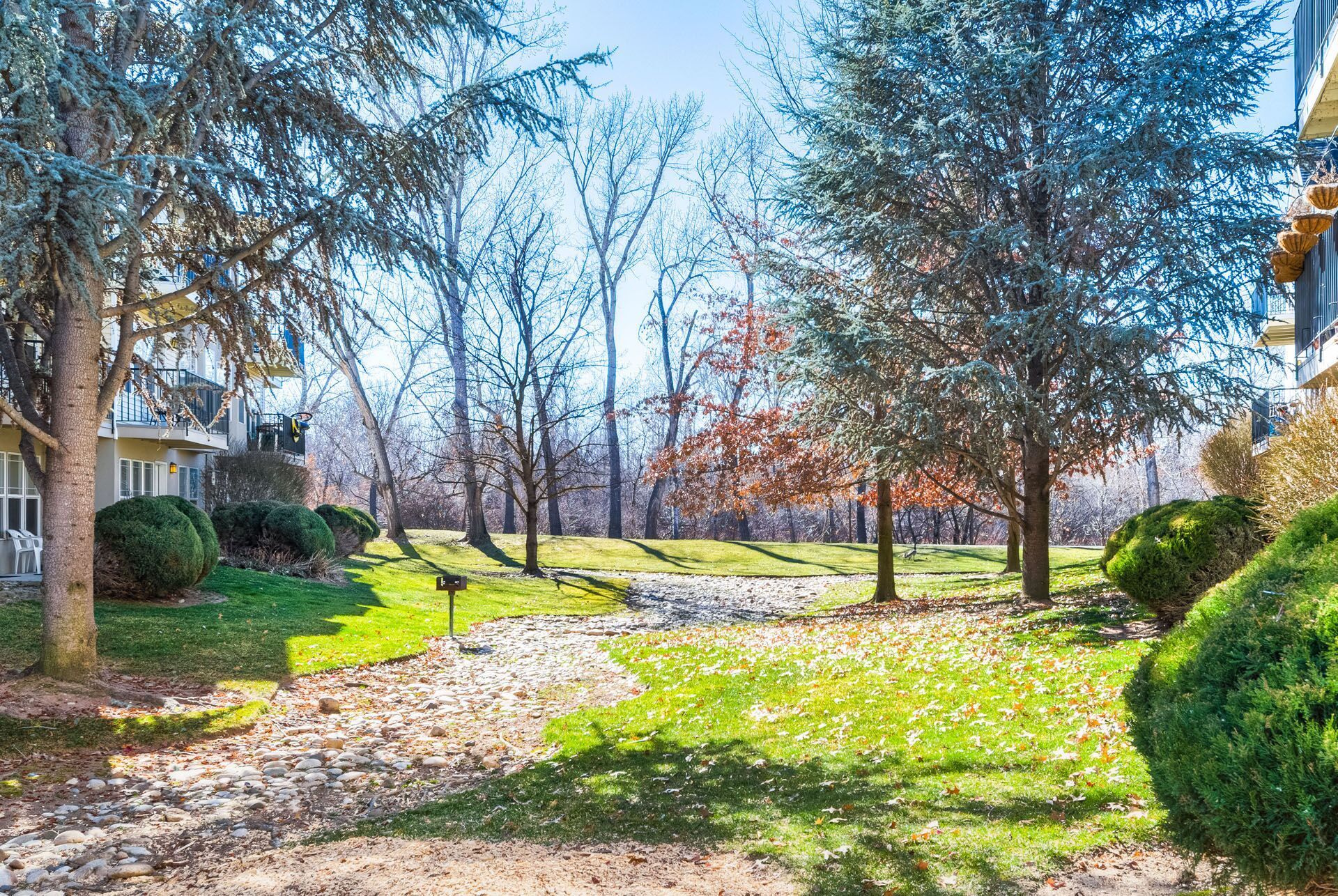 Sunny park path with bare trees, green grass, and apartment buildings in the background