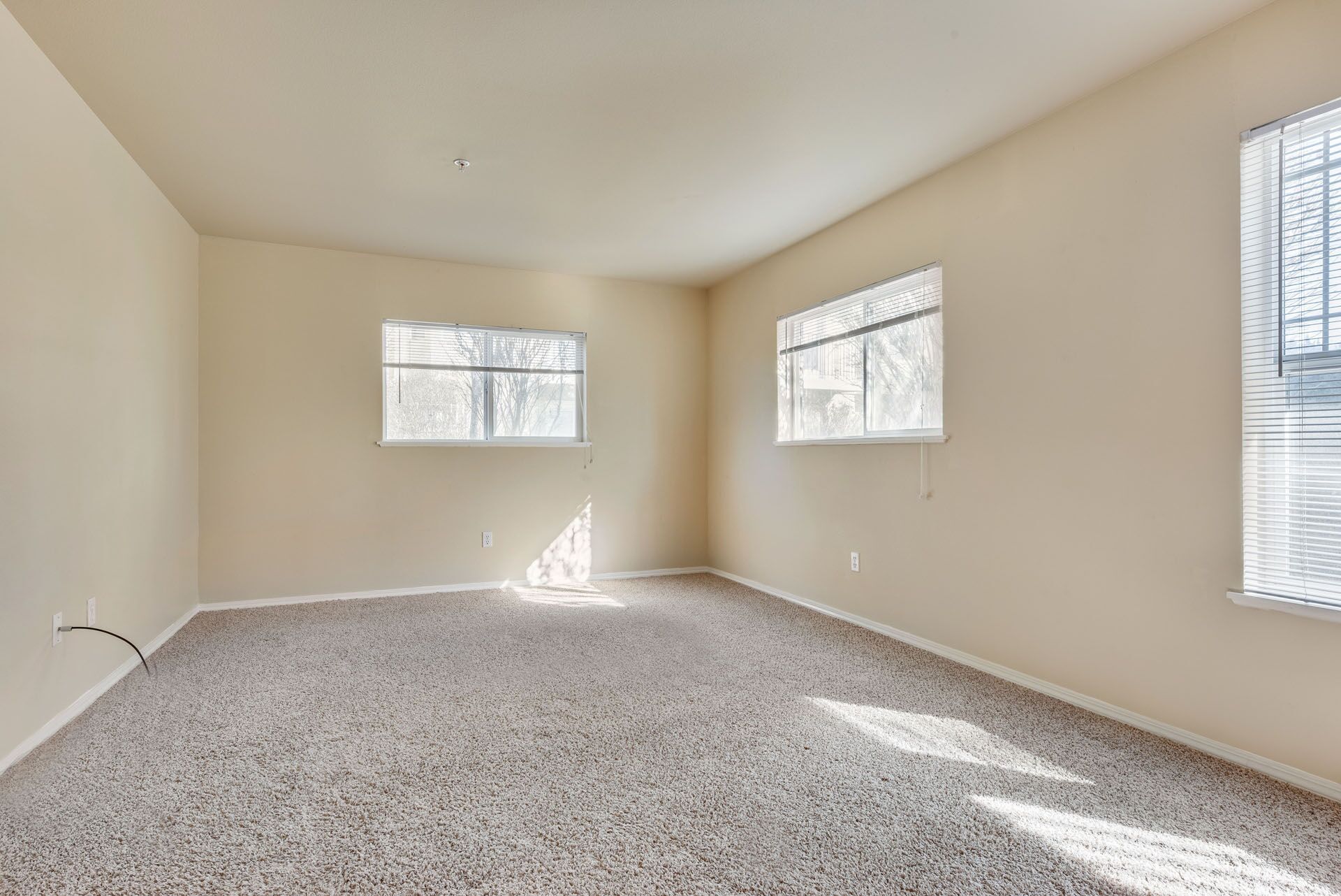 Empty beige carpeted room with three windows and sunlight streaming in
