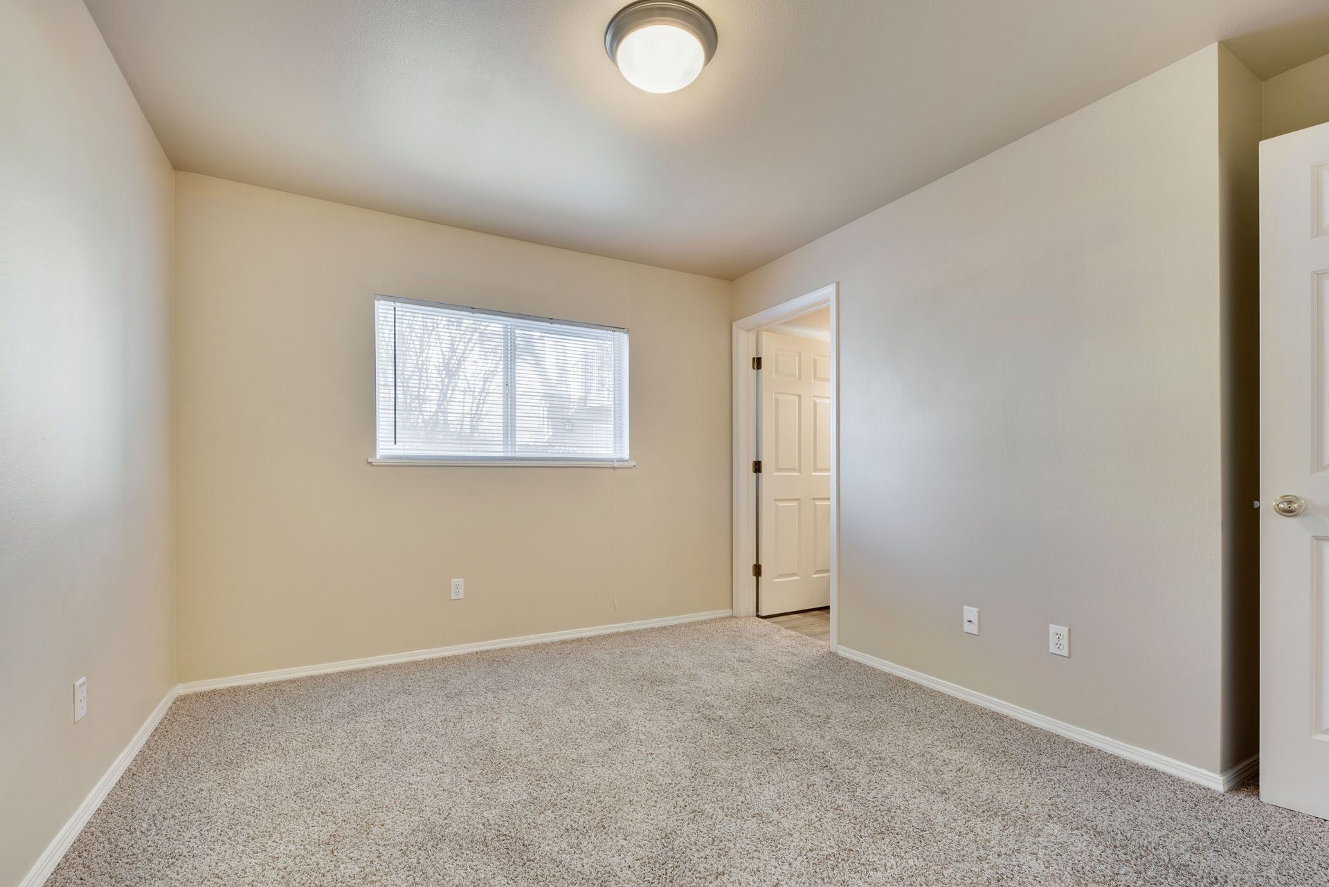 Empty beige bedroom with carpet, window, ceiling light, and closet door.