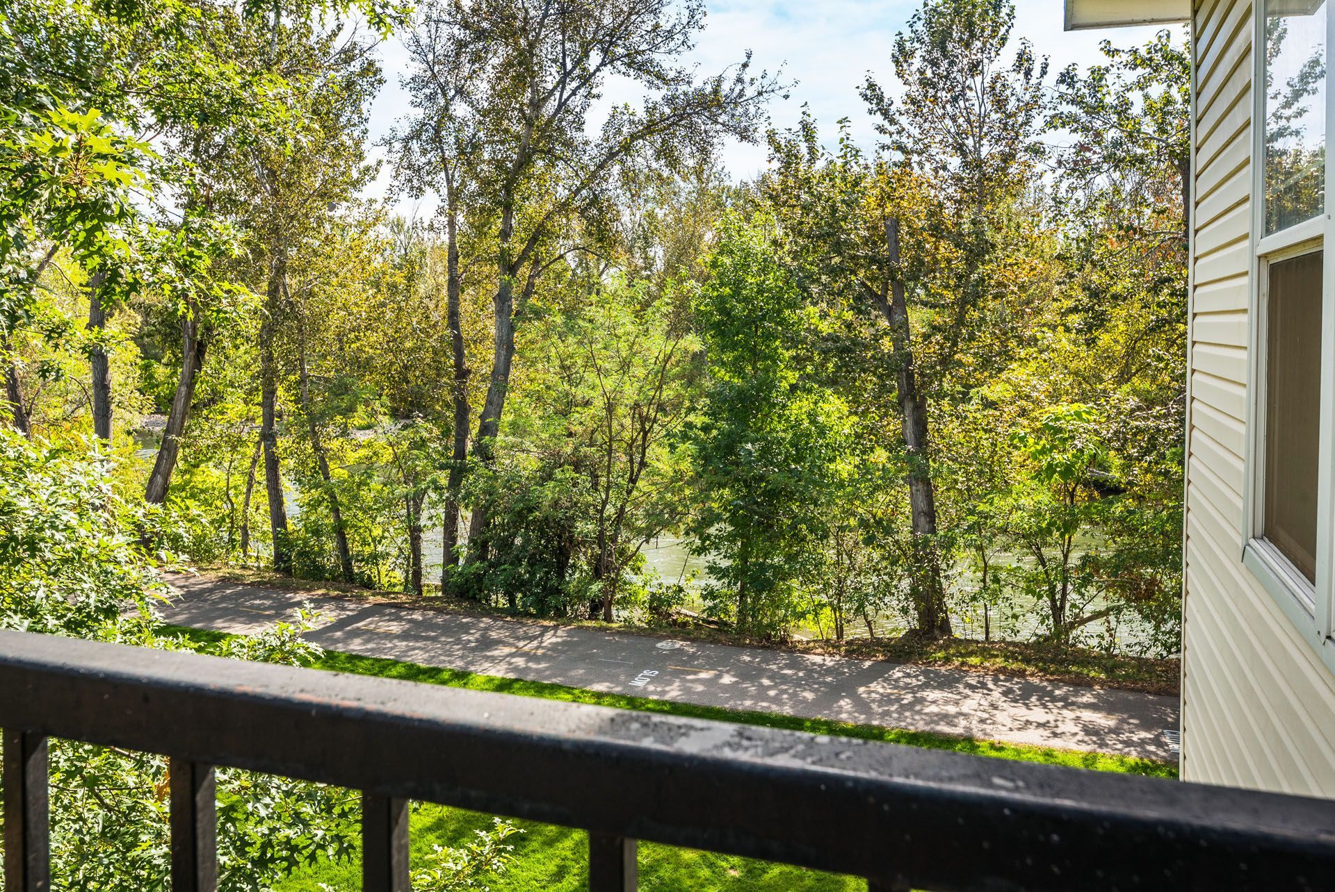 View from a porch railing of sunlit trees and greenery beside a house