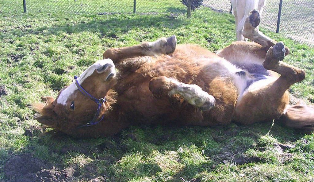 Dit was mijn eigen paar Relax