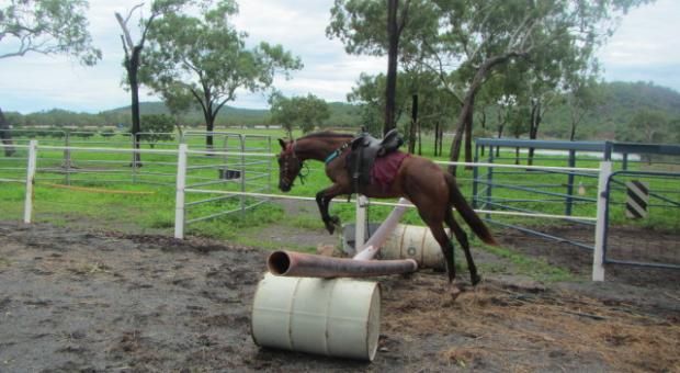 Training has begun!!!