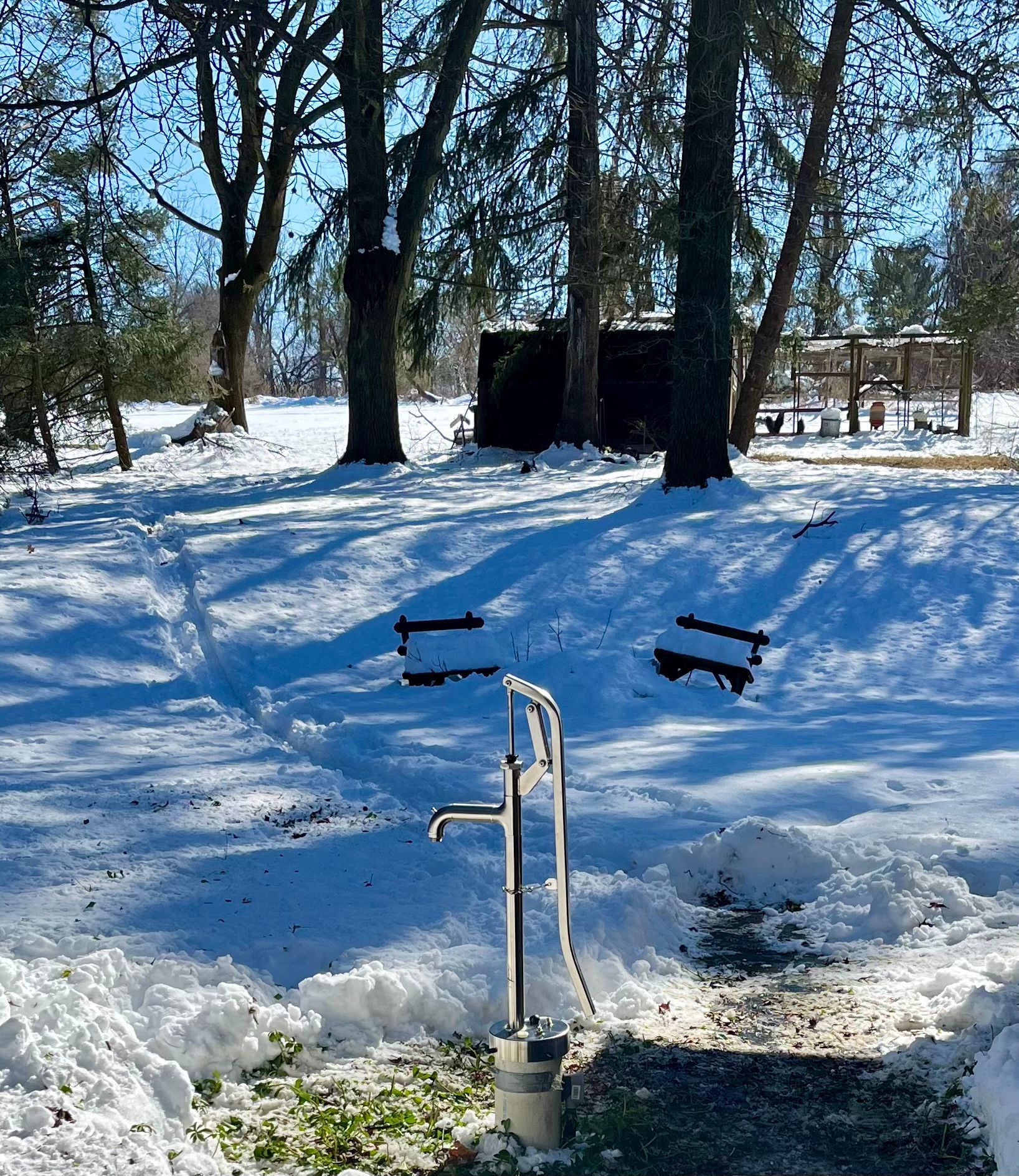 Snowy park with a metal hand pump in the foreground and leafless trees in the background