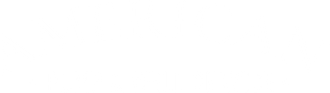 White horizontal rectangle with a thin gray line near the top edge.