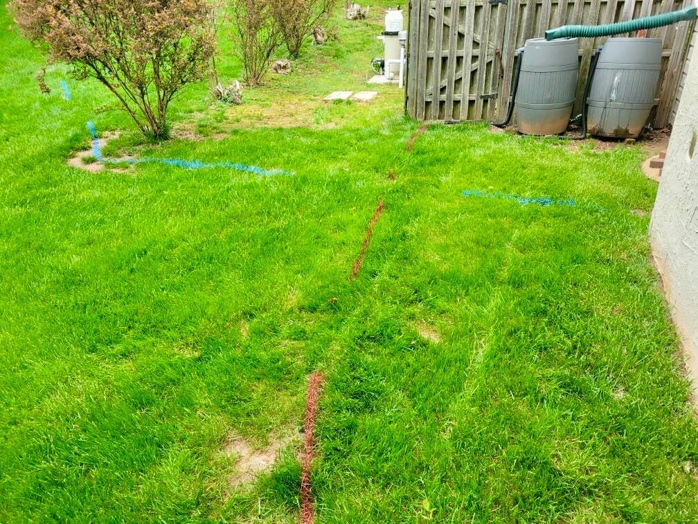 Green backyard with a red hose across the grass, shrubs on the left, and bins by a fence.